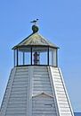 Seagull on lighthouse van Peter Bergmann thumbnail