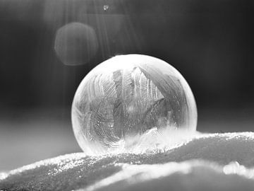 Vessie à bulles gelée sur Ellen Nipshagen