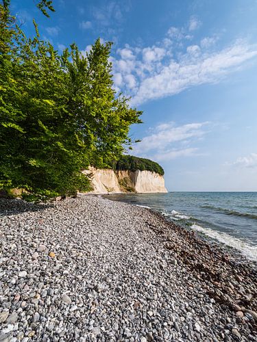 Chalk cliffs on the coast of the Baltic Sea on the island of Rügen