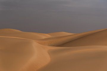 Dünen in der Wüste Sahara | Mauretanien
