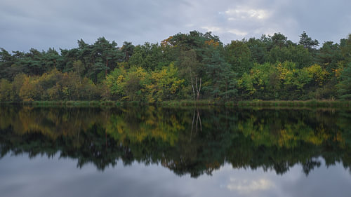 L'automne à Holtingerveld - Drenthe (Pays-Bas)