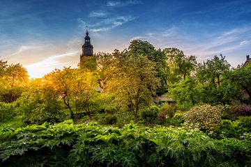 Die Walburgiskerk in Zutphen: Ein schöner Sommeranblick von Bart Ros