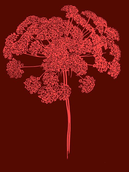 Berce du Caucase | Illustration | Plante | Rose par Jansje Kamphuis