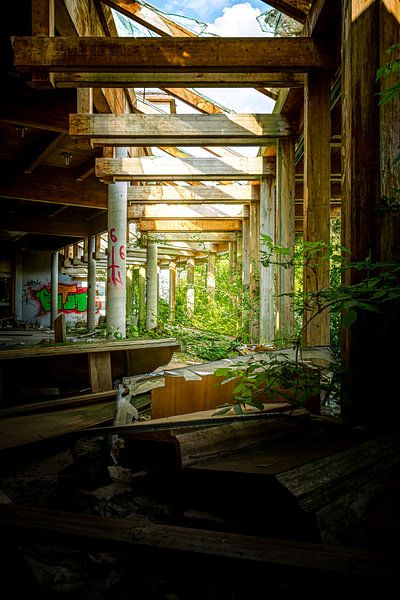 Der Kampf der Natur gegen die Architektur von InfiniteArtLabs