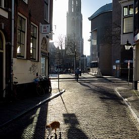 Domtoren Utrecht vanuit Schoutenstraat, met kat van Patrick van den Hurk