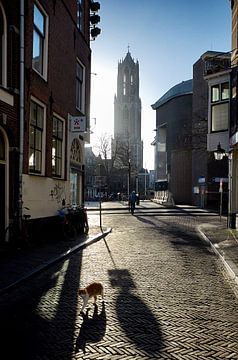 Domtoren Utrecht vanuit Schoutenstraat, met kat von Patrick van den Hurk