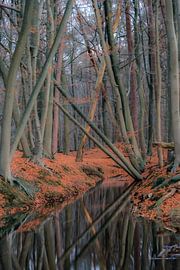 Réflexion dans le ruisseau sur Frankje Huisman