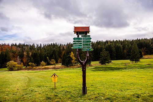 Herfstwandeling door de Spittergrund bij Tambach-Dietharz naar de waterval