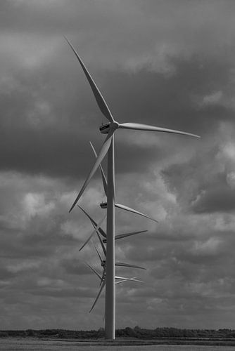 Windmolens kunst van Cock van Roon