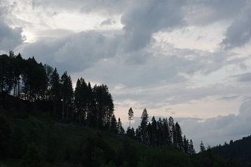 Zwarte woud bij zonsondergang van Alexander Vlemminx