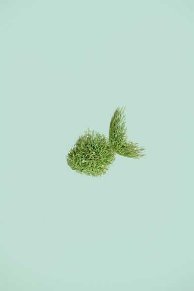 Ocean of grass by Esther van Beek