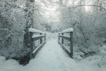 Besneeuwde houten brug in de ochtend winterse magie van Besa Art