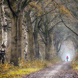 Herbst in Brabant von Harrie Oever