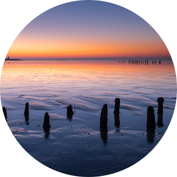 Paaltjes op het wad bij Wierum - Natuurlijk Wadden van Anja Brouwer Fotografie