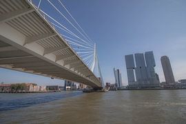 Rotterdam von Roger Hagelstein