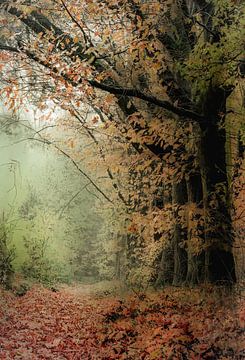 Kwintelooijen part 41 van Tania Perneel