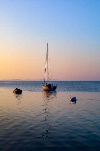 Drijvend van Annemarie Veldman