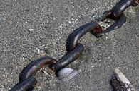 Chain by Erick van Bommel thumbnail