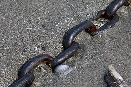 Chain by Erick van Bommel