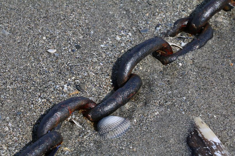Chain by Erick van Bommel