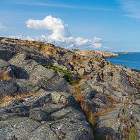 Landschap met rotsen in het natuurreservaat Bøkeskogen in Noorwegen van Rico Ködder