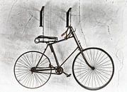 das Fahrrad von Tineke Visscher Miniaturansicht