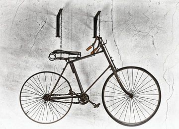 the bicycle by Tineke Visscher