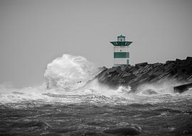 Le visage de la tempête Ciara sur John Trap