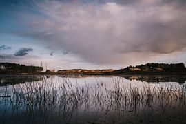 Vogelsee Mi von Froukje Wilming