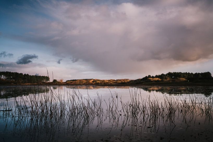 Bird Lake Wed by Froukje Wilming