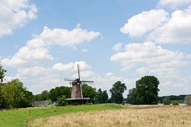 Windmühle Stella Polaris von Richard Wareham