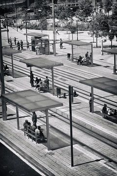 When the Heat Rises: A Shade to Survive