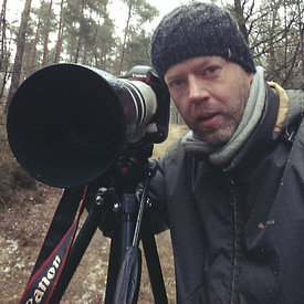 Niels Barto profielfoto