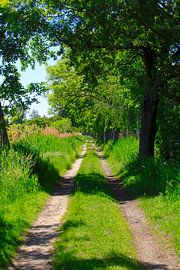 Schöner Weg von Thomas Jäger