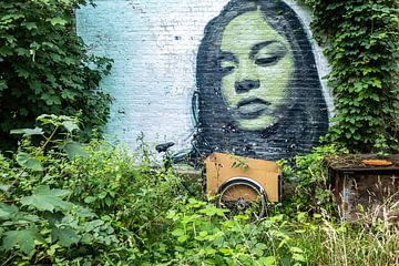 Mural with Christiania cargo bicycle in free state of Christiania, Copenhagen, Denmark by Evert Jan Luchies