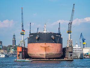 2017-05-07 Dicker Pott im Dock