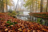 Eine Brücke durch den Herbstnebel&#039