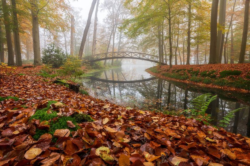 Een brug door herfst's mist van Olga Ilina