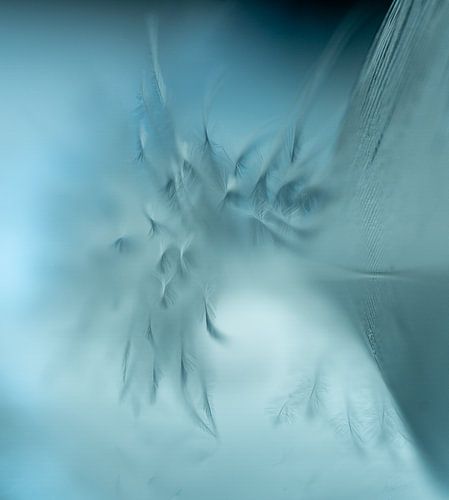 Frühling im Makrobereich