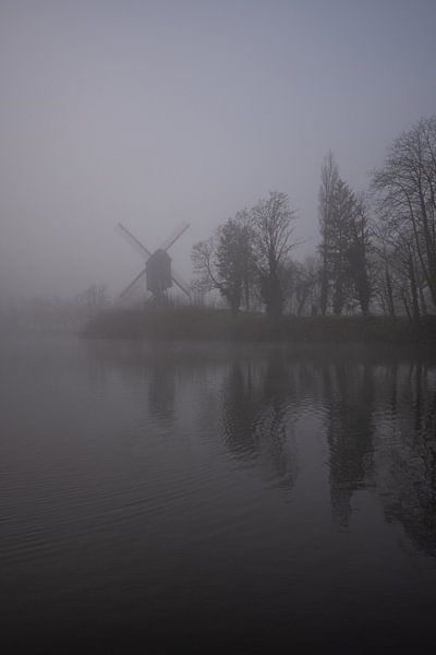 nebliger Morgen von Bart Liesenborgs
