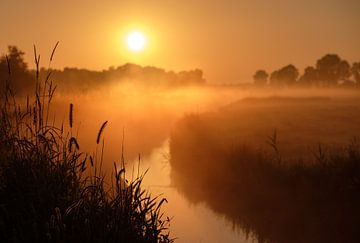 zonsopkomst van Rianne Hofma