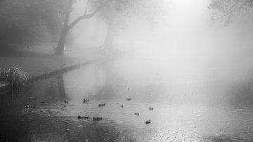 Purmerend in de mist