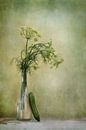 Dill and Cucumber, Priska Wettstein by 1x thumbnail