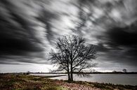 Stormachtig weer aan de rivieroever (Pannerden, Arnhem) van Eddy Westdijk thumbnail