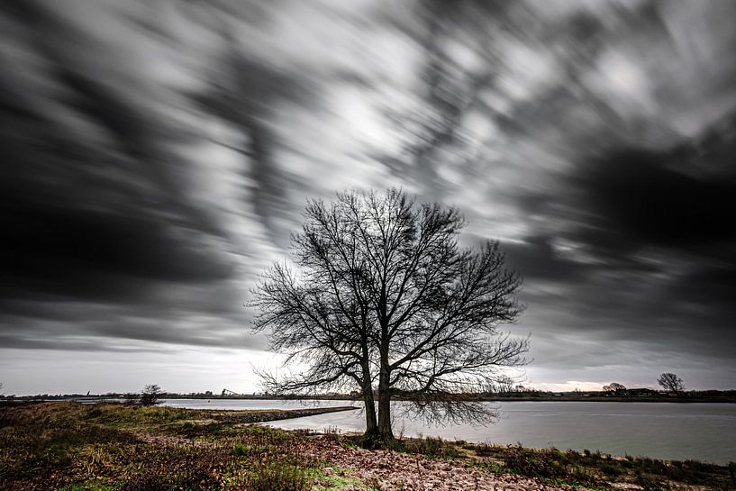 Stürmisches Wetter am Flussufer (Pannerden, Arnheim) von Eddy Westdijk