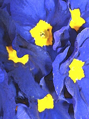 Bloemengesprekken in blauw en geel