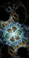 Supernova