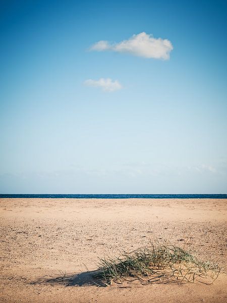 Sardinien - Costa del Sud von Alexander Voss