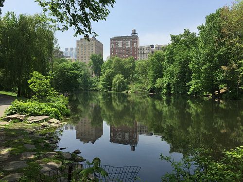 The Pool at Central Park