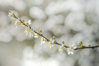 Ein Hauch von Gelassenheit